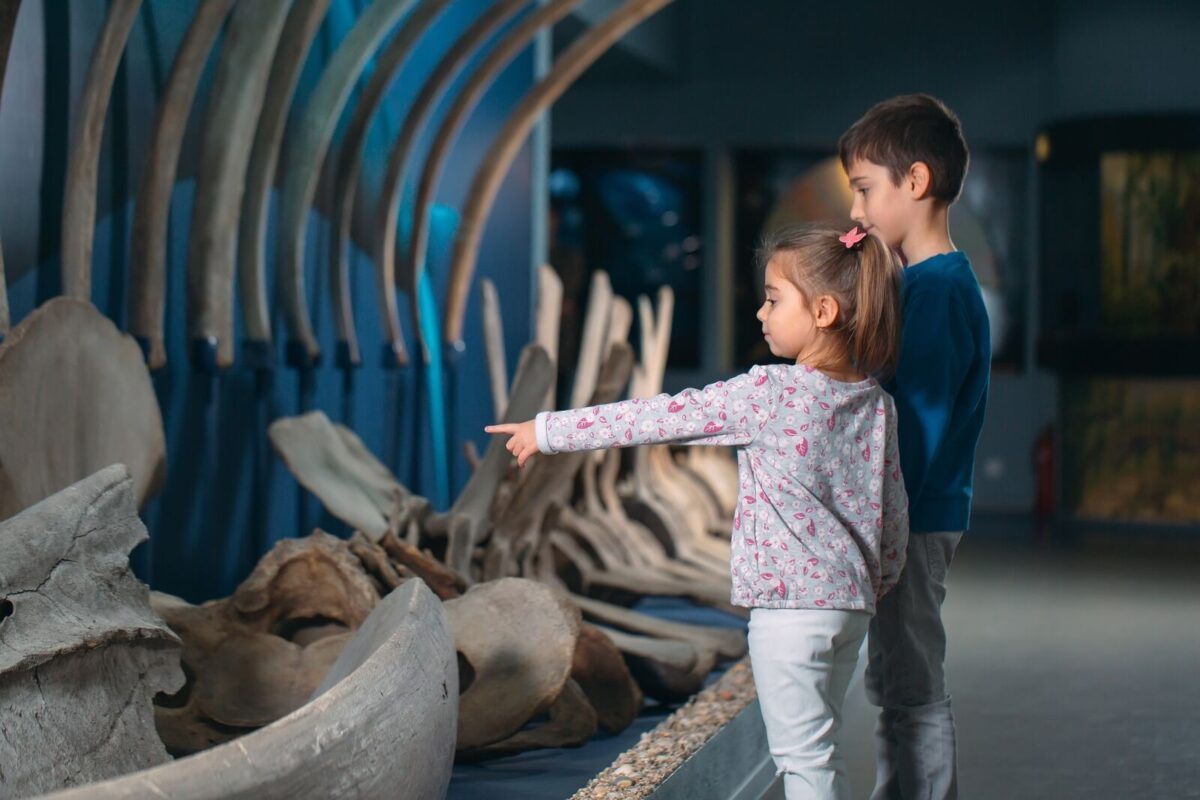 Kids at paleontology exhibit at aquarium.