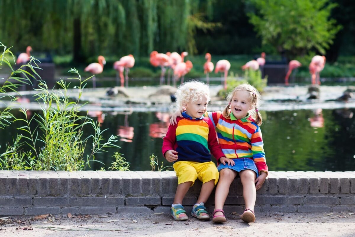 kids by flamingo habitat at zoo